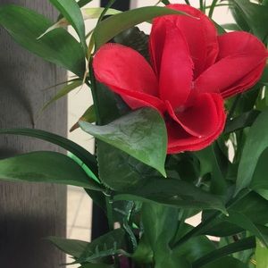 Meet your Posher, Lorena